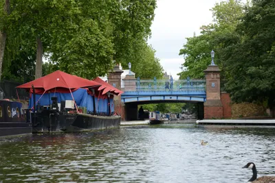 DSC_2742 (Large).JPG